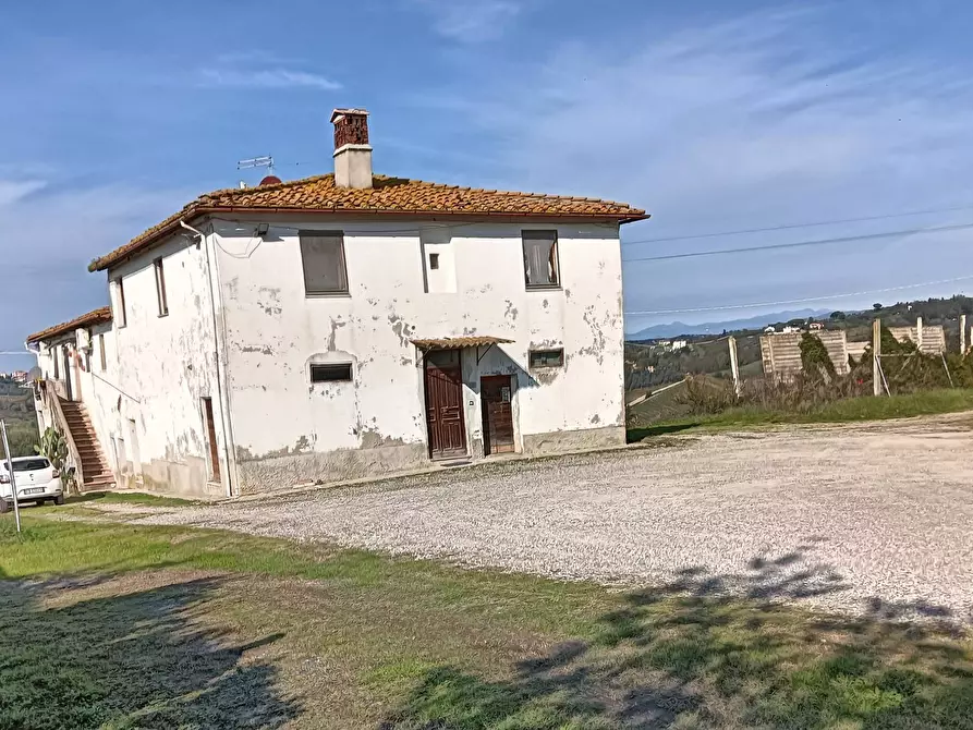 Immagine 39 di Azienda agricola in vendita  a Montespertoli