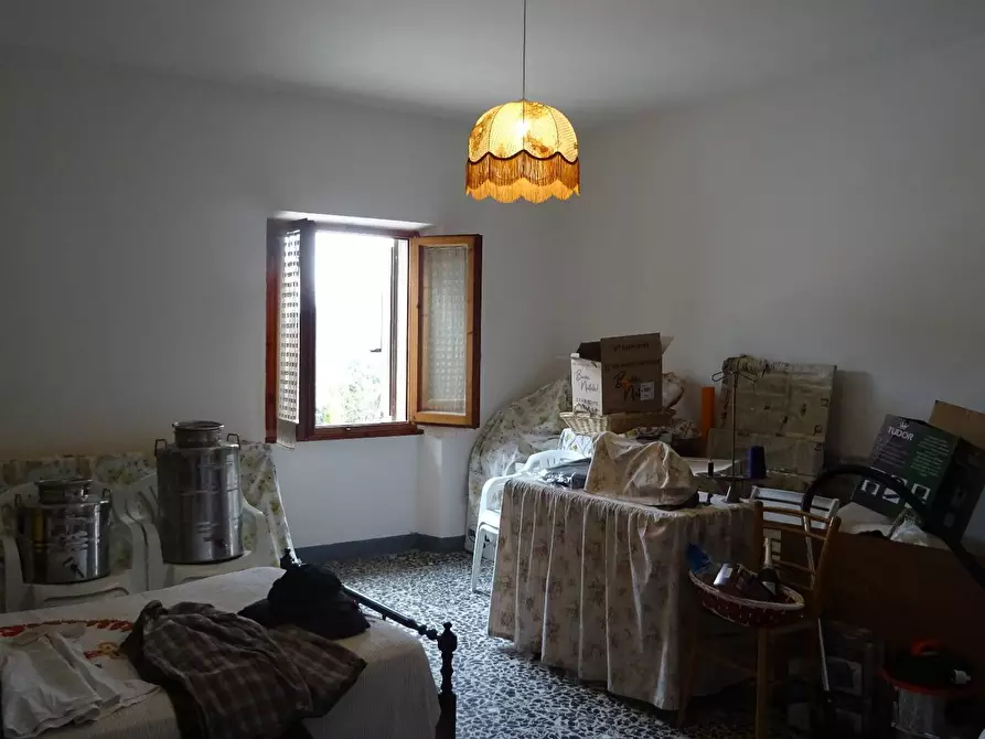 Immagine 9 di Rustico / casale in vendita  a Montespertoli