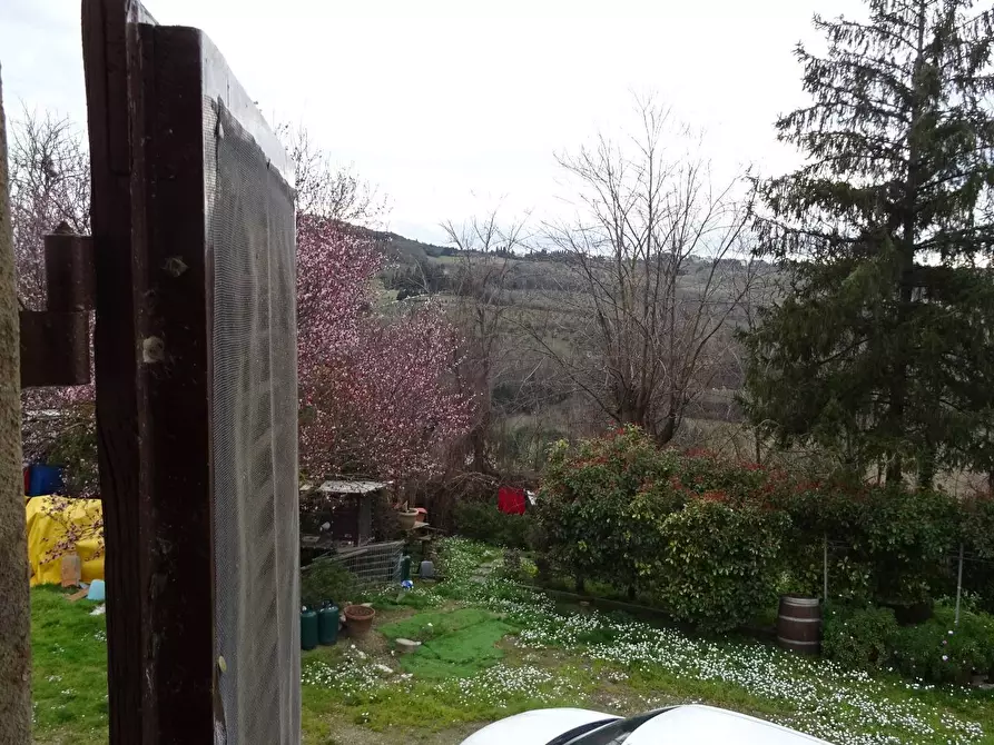 Immagine 11 di Rustico / casale in vendita  a Montespertoli