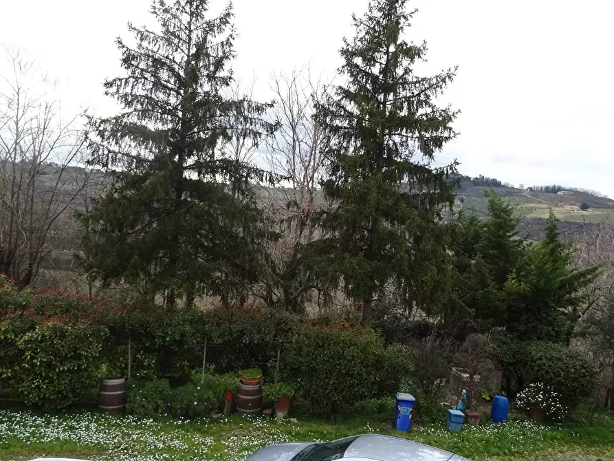 Immagine 12 di Rustico / casale in vendita  a Montespertoli