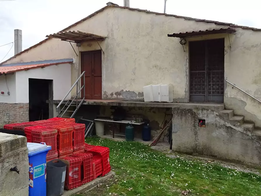 Immagine 15 di Rustico / casale in vendita  a Montespertoli