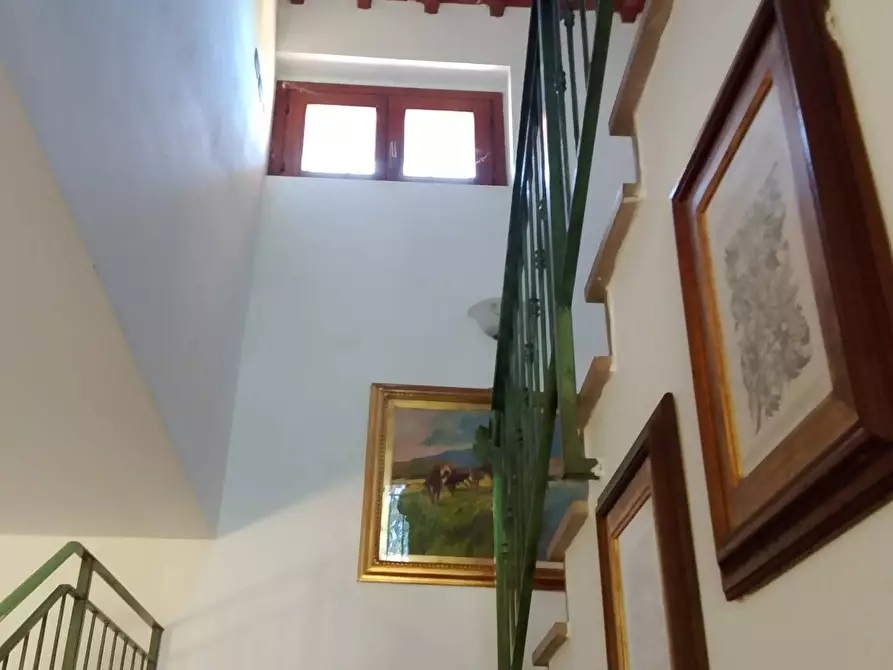 Immagine 12 di Villa in vendita  a Montespertoli