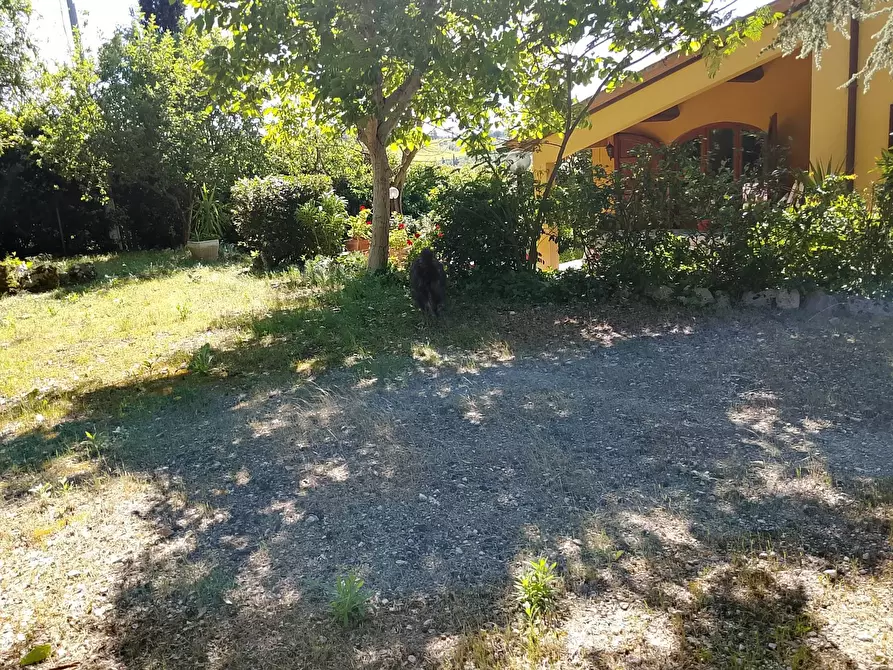 Immagine 7 di Villa in vendita  a Montespertoli