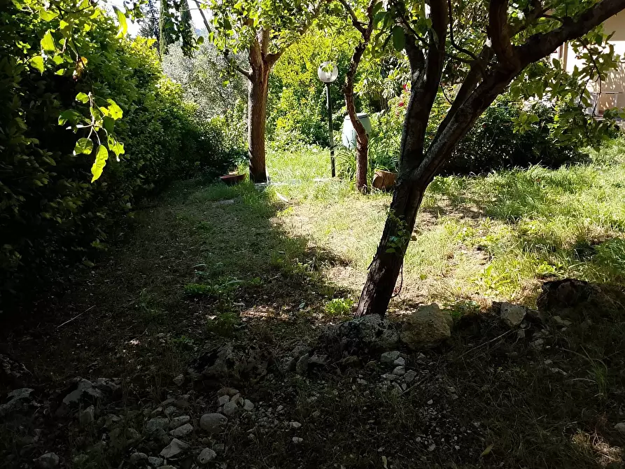 Immagine 17 di Villa in vendita  a Montespertoli