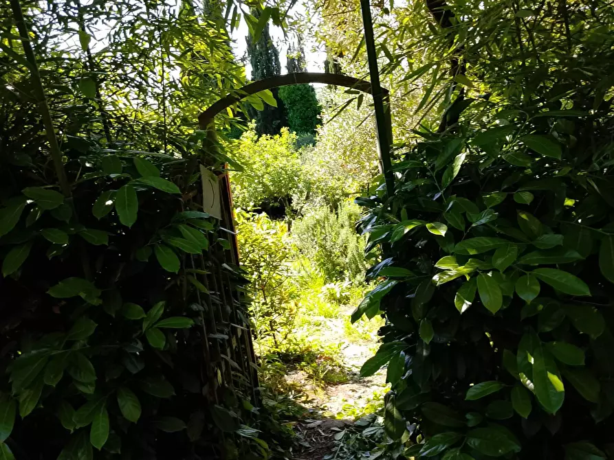 Immagine 18 di Villa in vendita  a Montespertoli