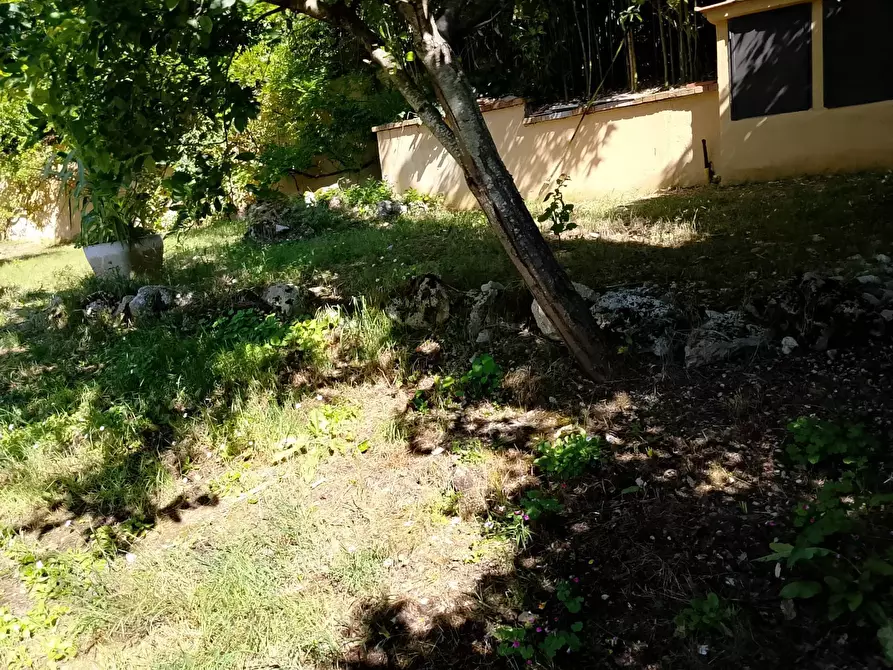 Immagine 19 di Villa in vendita  a Montespertoli