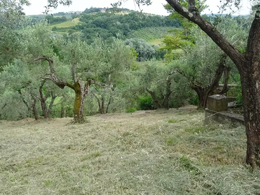 Immagine 16 di Rustico / casale in vendita  a Montespertoli