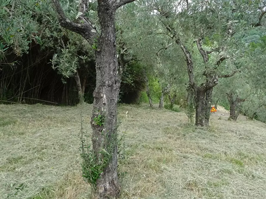 Immagine 17 di Rustico / casale in vendita  a Montespertoli