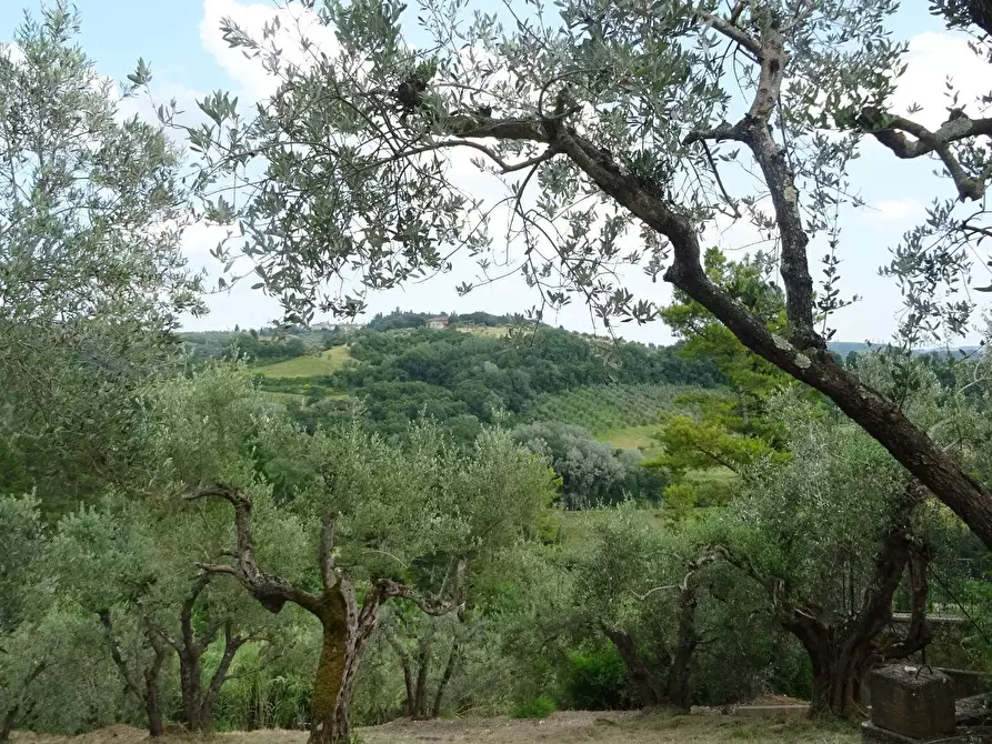 Immagine 18 di Rustico / casale in vendita  a Montespertoli