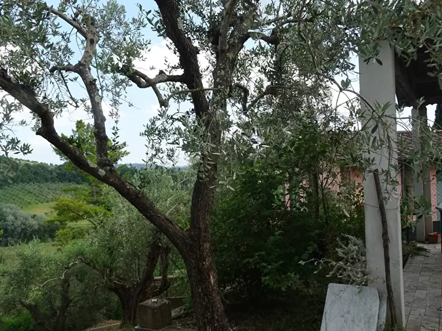 Immagine 1 di Rustico / casale in vendita  a Montespertoli