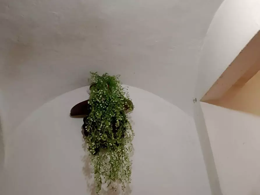 Immagine 13 di Appartamento in vendita  a Montespertoli