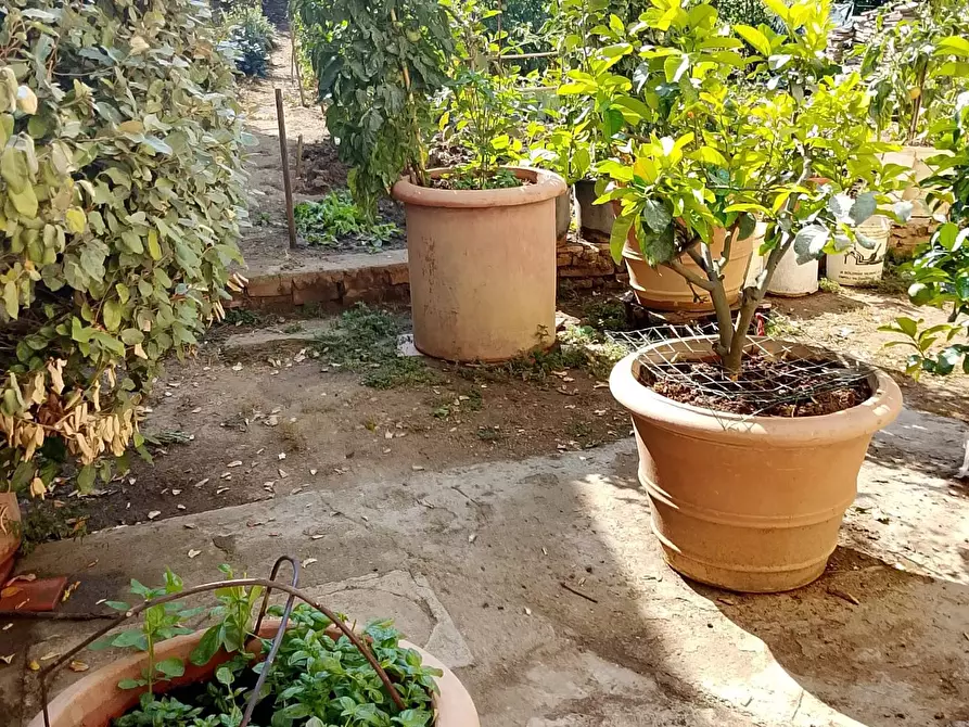 Immagine 6 di Appartamento in vendita  a Montespertoli