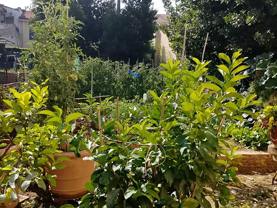 Immagine 7 di Appartamento in vendita  a Montespertoli