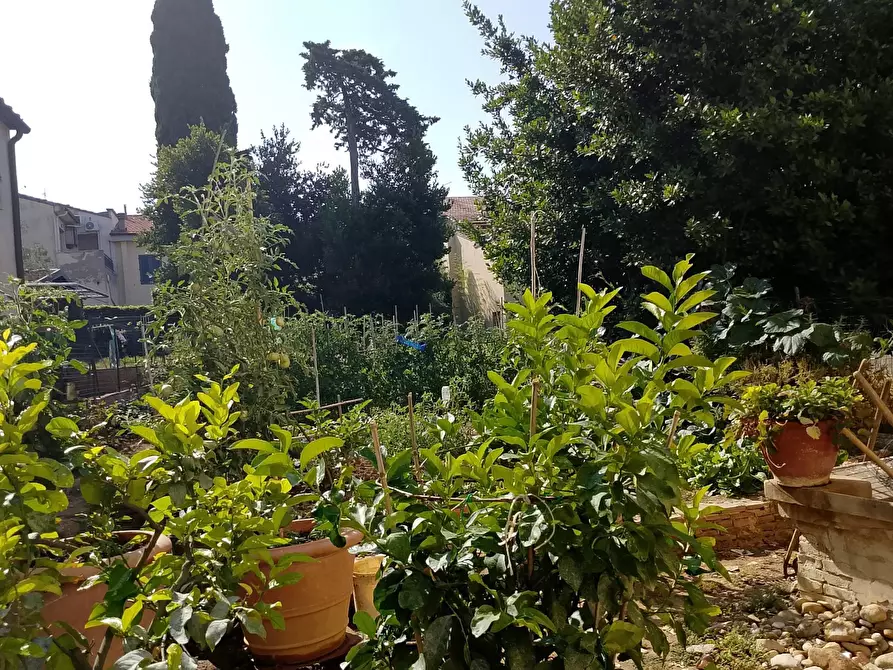 Immagine 8 di Appartamento in vendita  a Montespertoli