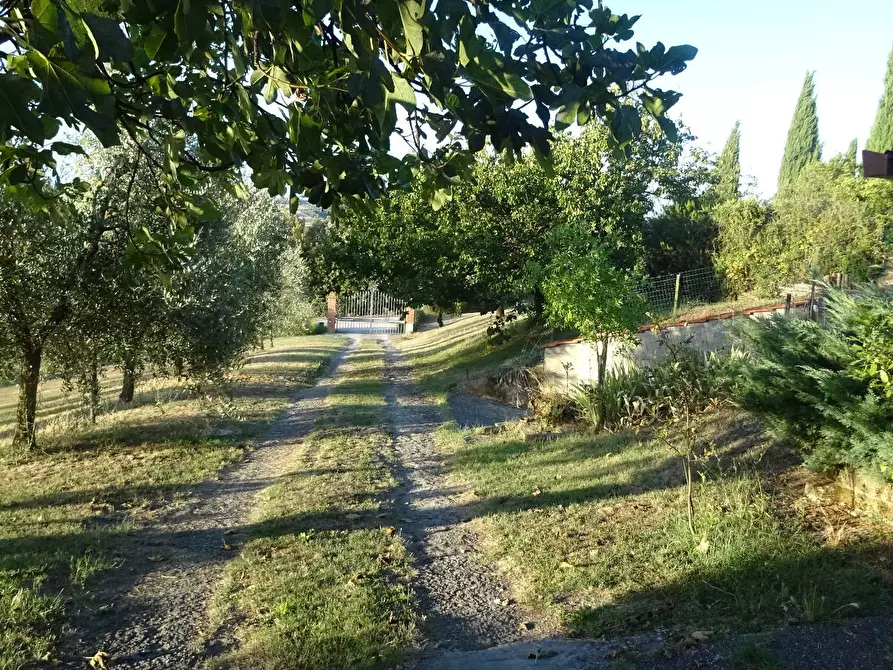 Immagine 28 di Rustico / casale in vendita  a Montespertoli