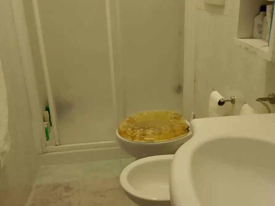 Immagine 5 di Appartamento in vendita  a Castelfiorentino