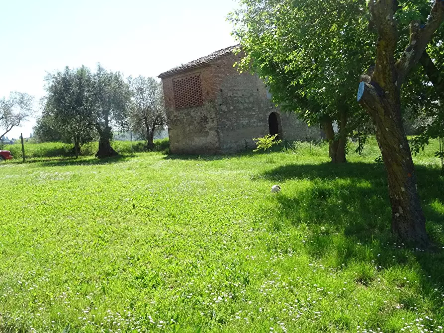 Immagine 3 di Rustico / casale in vendita  a Montespertoli