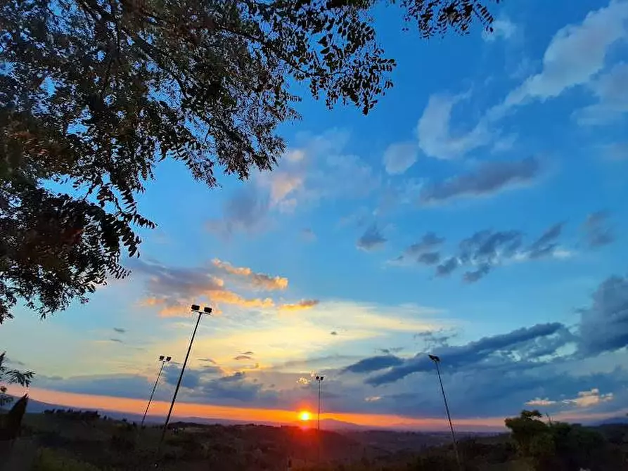 Immagine 9 di Agriturismo in vendita  a Montespertoli