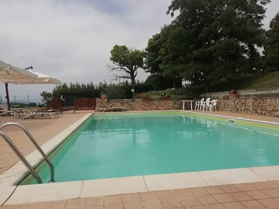 Immagine 13 di Agriturismo in vendita  a Montespertoli