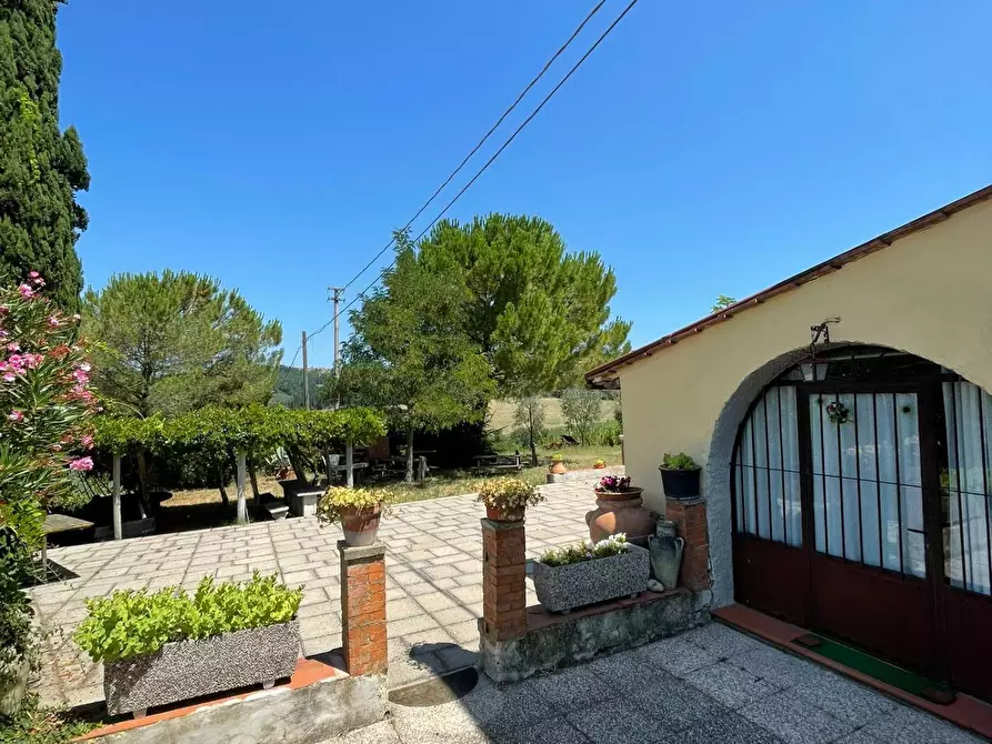 Immagine 3 di Azienda agricola in vendita  a Montespertoli