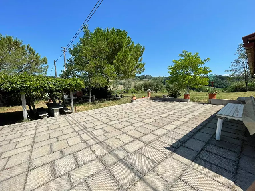 Immagine 4 di Azienda agricola in vendita  a Montespertoli