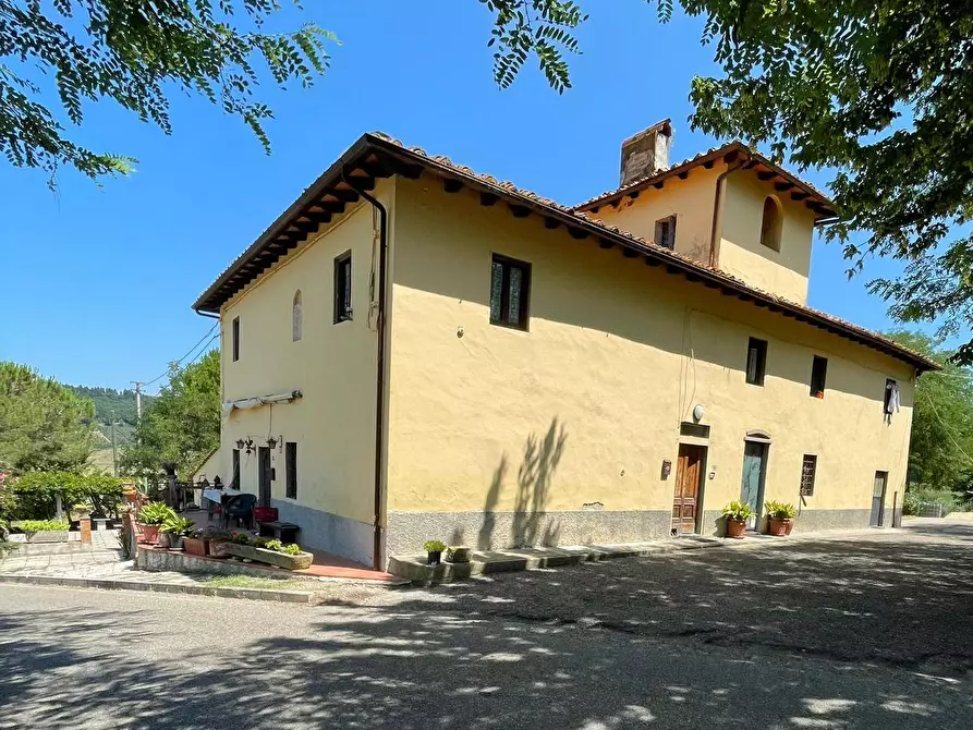 Immagine 2 di Azienda agricola in vendita  a Montespertoli