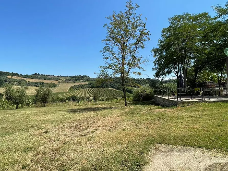 Immagine 7 di Azienda agricola in vendita  a Montespertoli