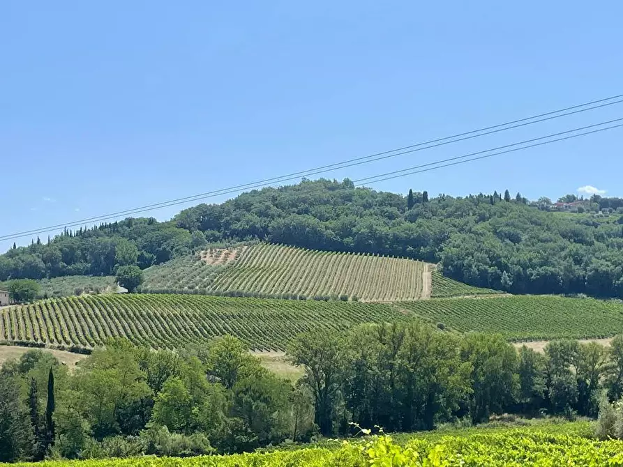 Immagine 8 di Azienda agricola in vendita  a Montespertoli