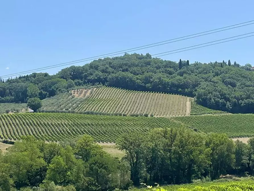 Immagine 9 di Azienda agricola in vendita  a Montespertoli