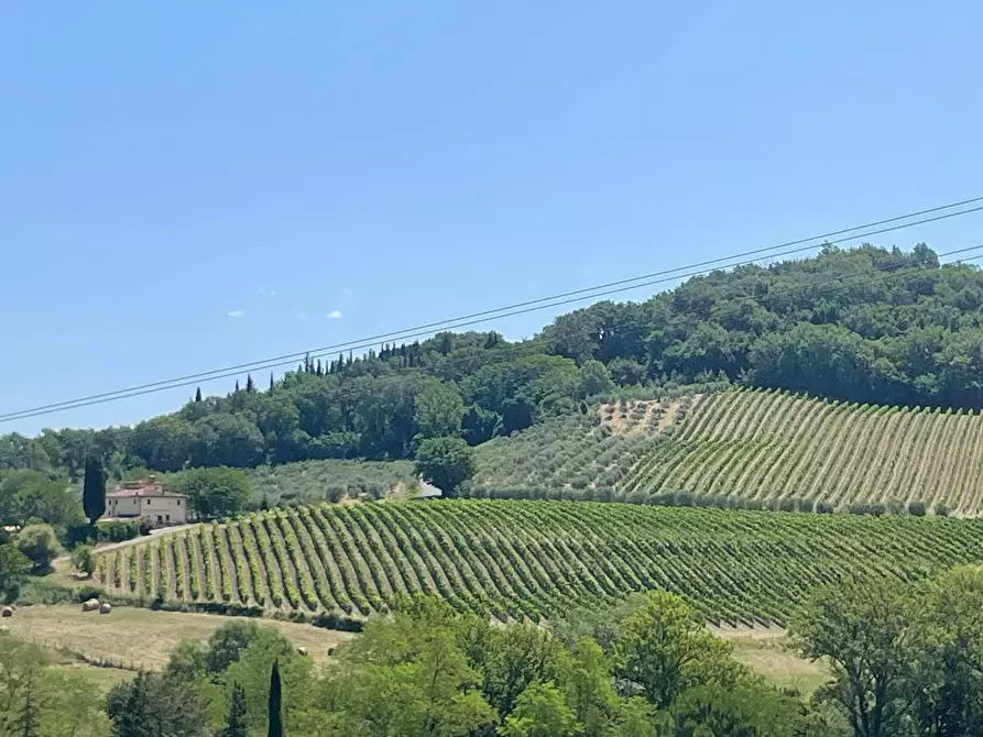 Immagine 10 di Azienda agricola in vendita  a Montespertoli