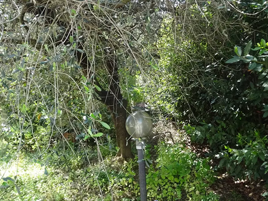 Immagine 2 di Appartamento in vendita  a Montelupo Fiorentino