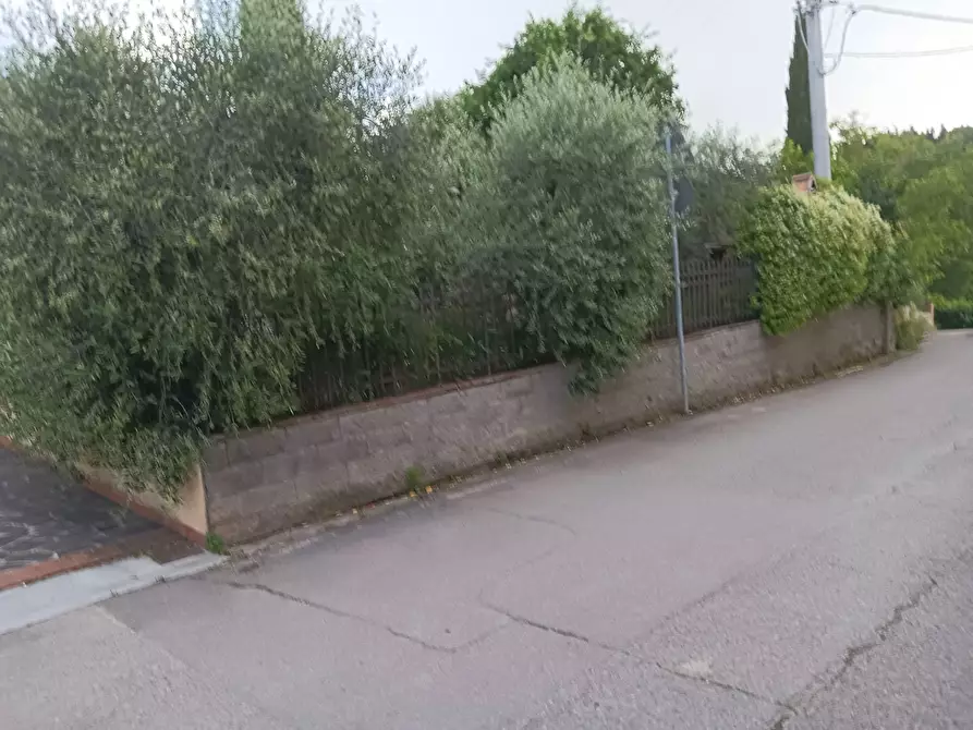 Immagine 25 di Rustico / casale in vendita  a Montespertoli