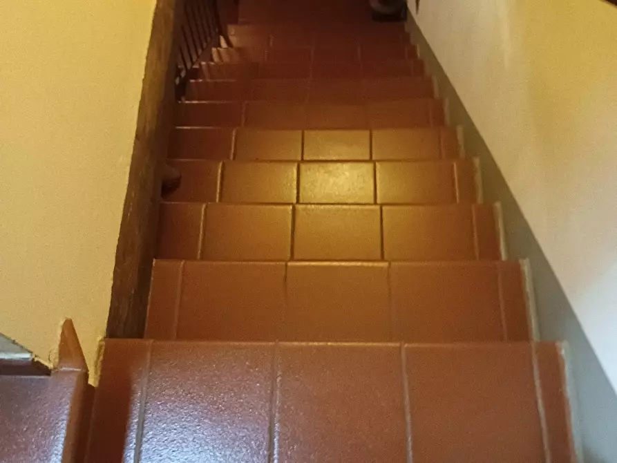 Immagine 11 di Rustico / casale in vendita  a Montespertoli