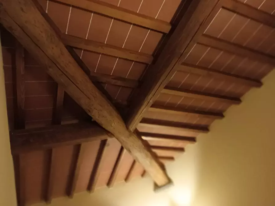Immagine 14 di Rustico / casale in vendita  a Montespertoli
