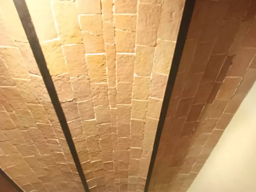 Immagine 19 di Rustico / casale in vendita  a Montespertoli