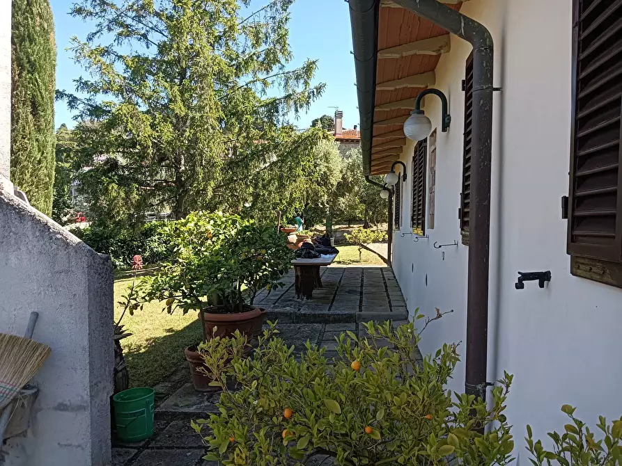 Immagine 26 di Rustico / casale in vendita  a Montespertoli
