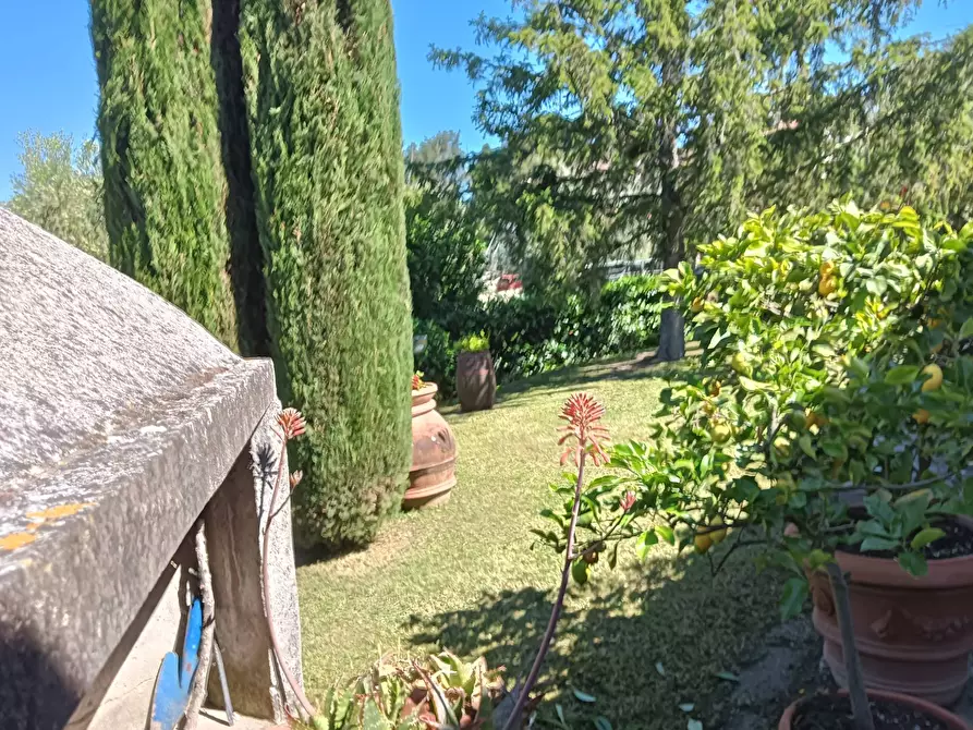 Immagine 29 di Rustico / casale in vendita  a Montespertoli