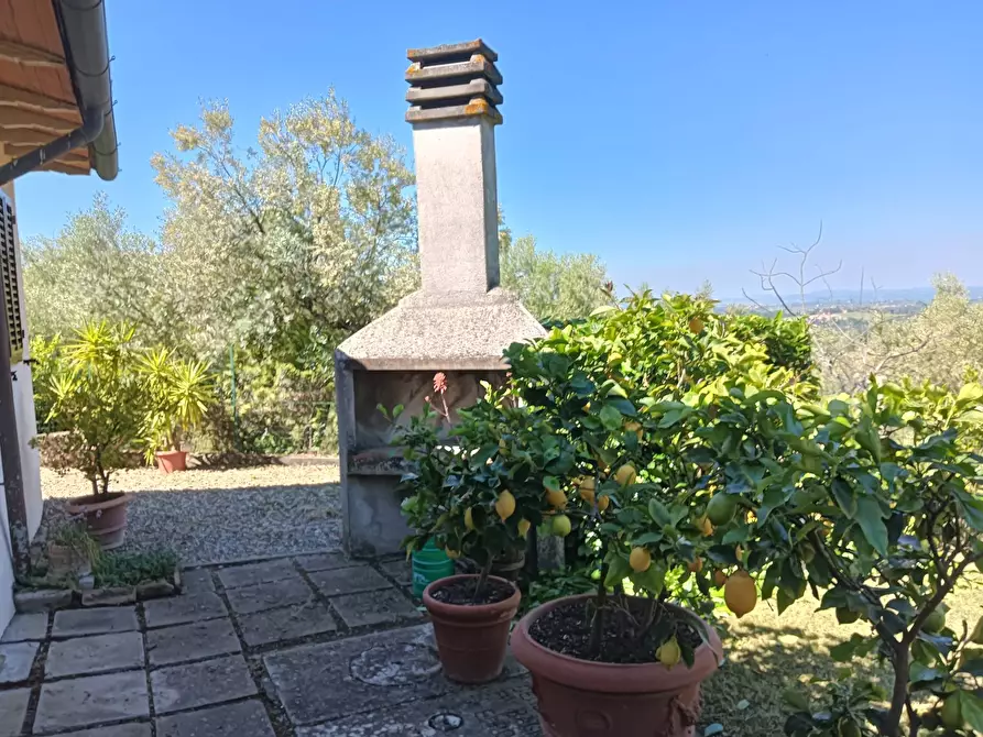 Immagine 32 di Rustico / casale in vendita  a Montespertoli