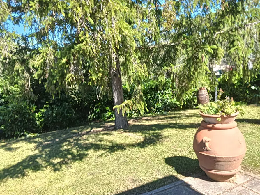 Immagine 33 di Rustico / casale in vendita  a Montespertoli