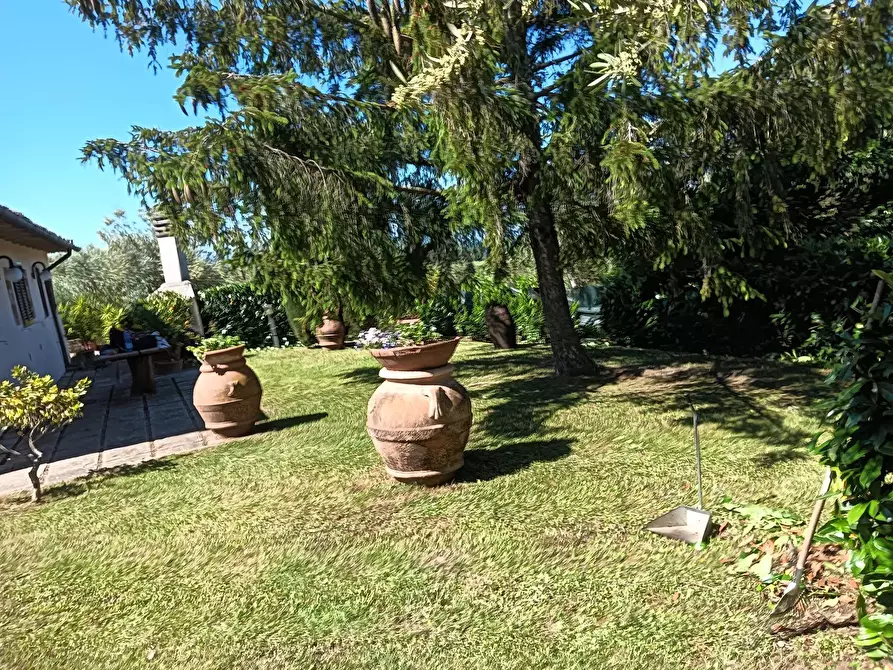 Immagine 34 di Rustico / casale in vendita  a Montespertoli