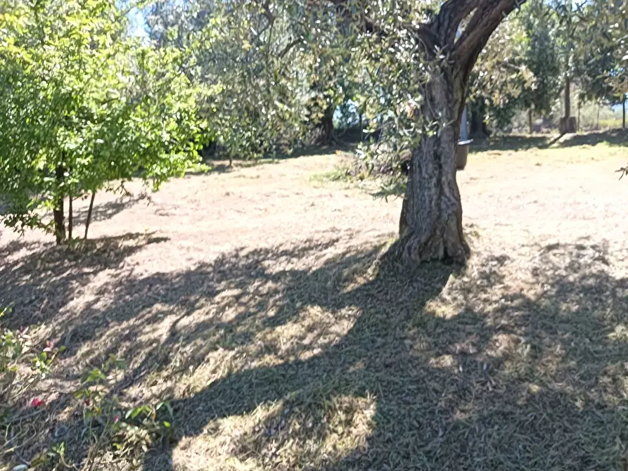 Immagine 35 di Rustico / casale in vendita  a Montespertoli