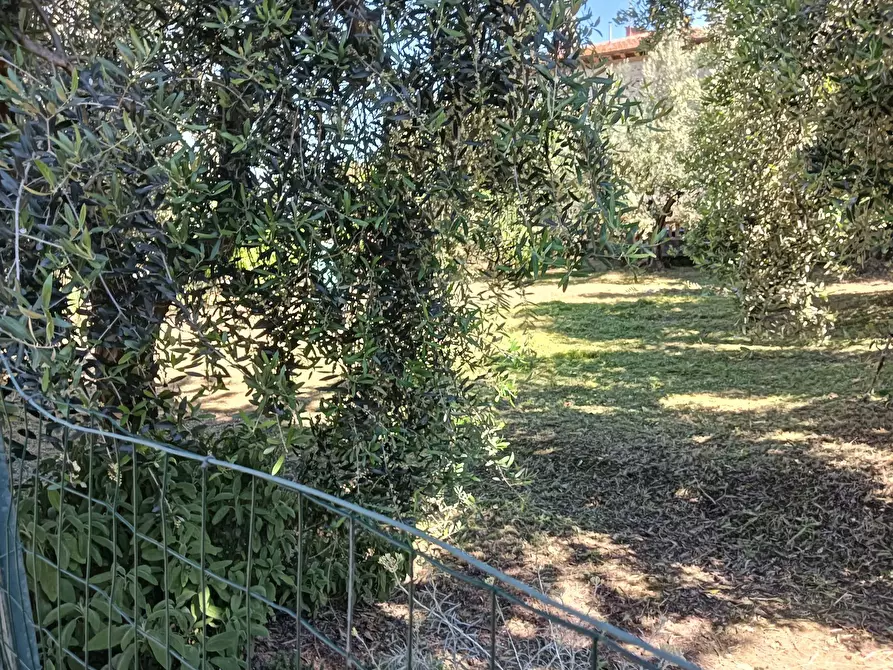 Immagine 37 di Rustico / casale in vendita  a Montespertoli