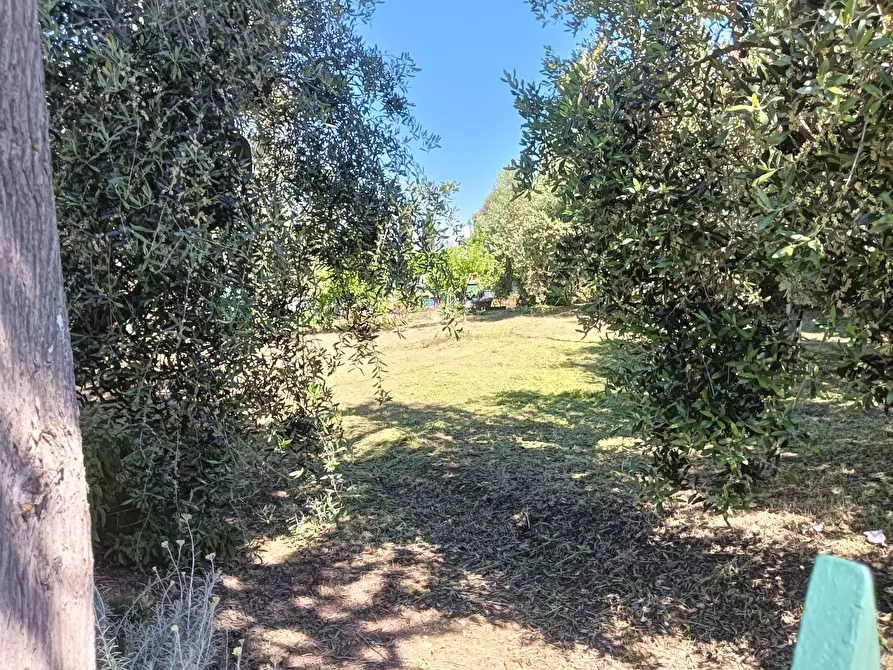 Immagine 38 di Rustico / casale in vendita  a Montespertoli