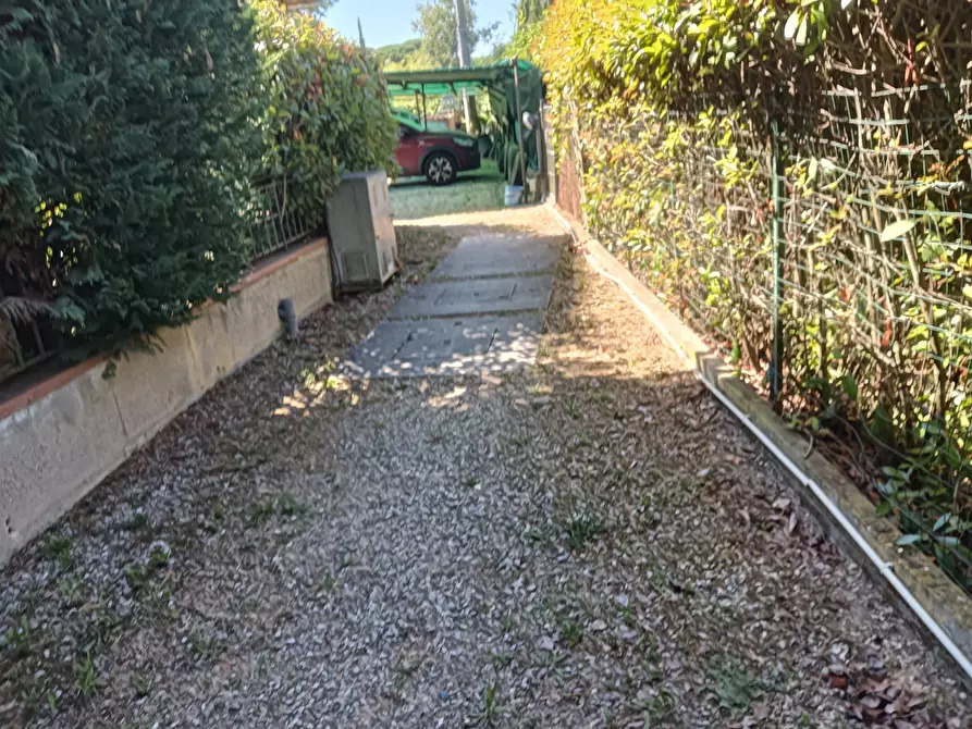 Immagine 21 di Appartamento in vendita  a Montespertoli