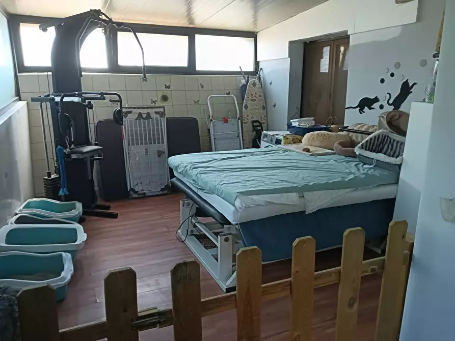 Immagine 15 di Rustico / casale in vendita  a Montespertoli