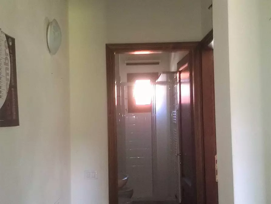 Immagine 4 di Appartamento in vendita  a Montespertoli