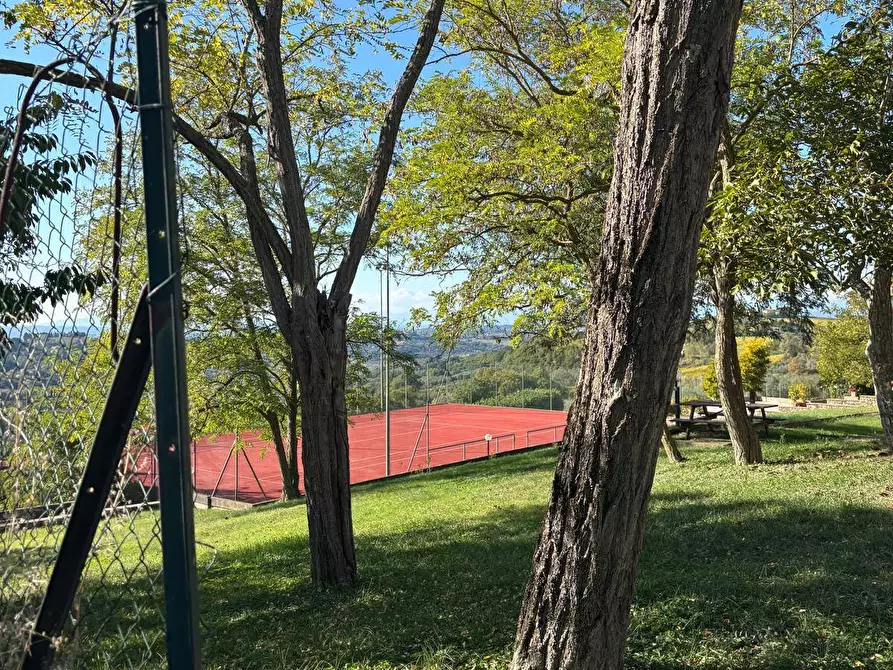 Immagine 16 di Agriturismo in vendita  a Montespertoli