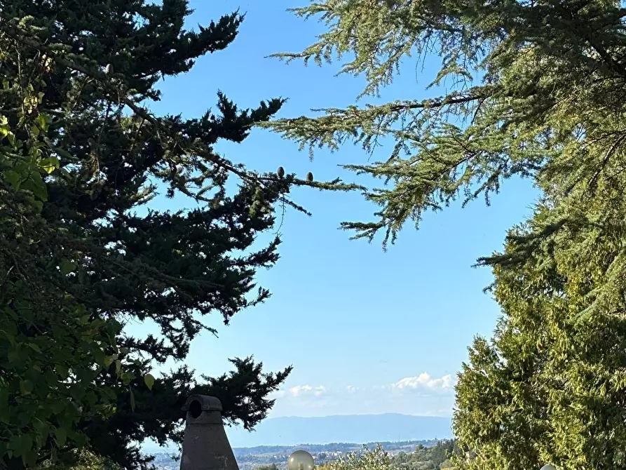Immagine 17 di Agriturismo in vendita  a Montespertoli