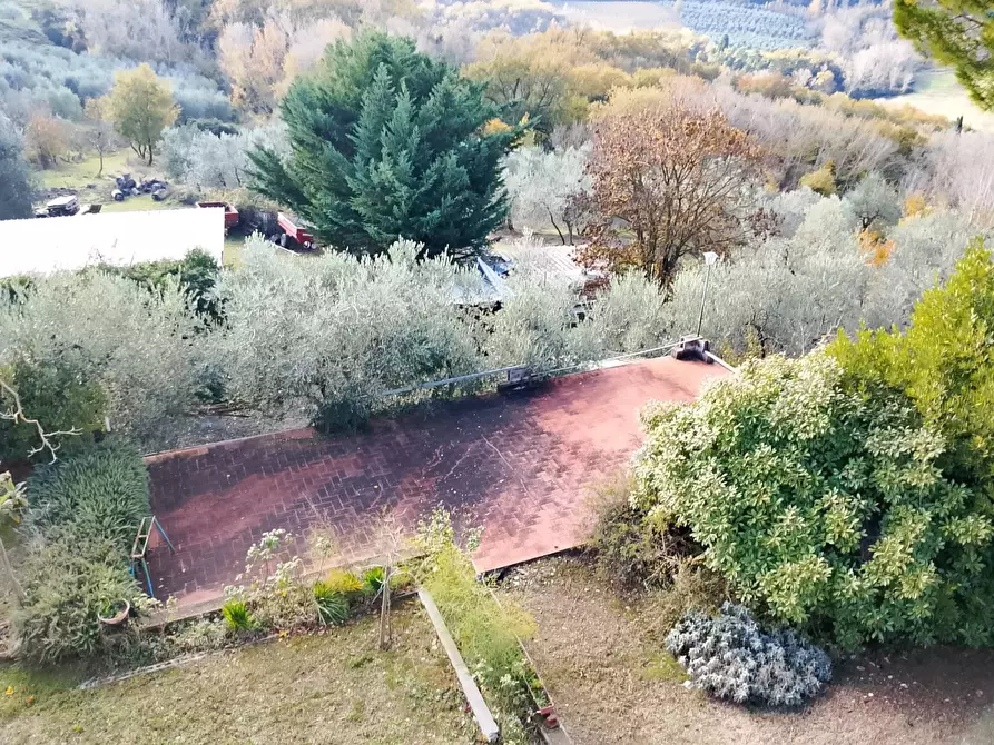 Immagine 4 di Rustico / casale in vendita  a Montespertoli