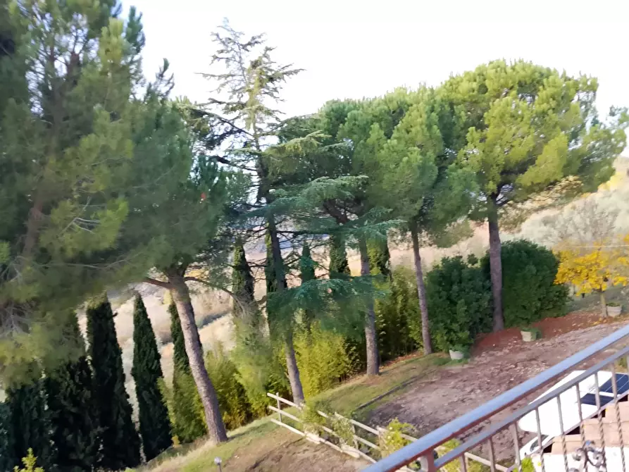 Immagine 7 di Rustico / casale in vendita  a Montespertoli